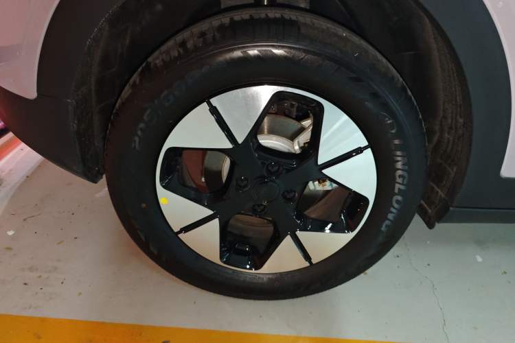 Used  Geome 2025 310km Dream Edition
