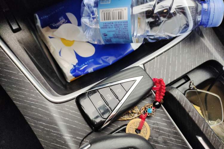 Used Venucia V 2022 260T Black Horse Edition · Idol
