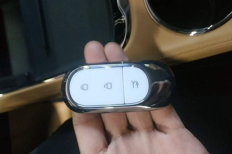 Used Leapmotor C11 2024 Range-Extended 300 Luxury Edition
