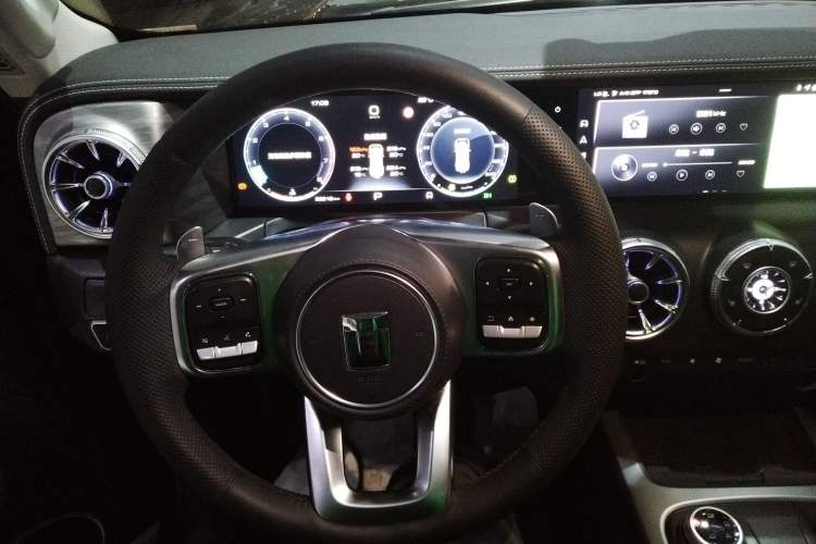 Used Tank 300 2024 2.0T Conqueror