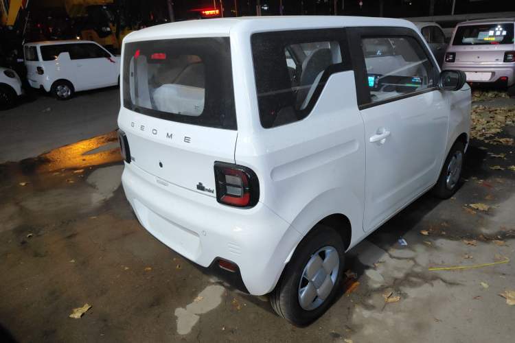Used  Panda 2024 Panda Mini 200km Endurance Bear
