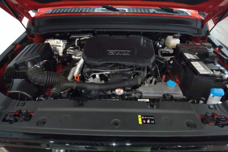 Used Tank 300 2024 2.0T Crosser
