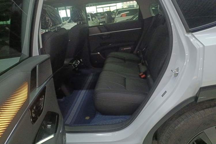 Used Honda P7 2025 Rear-Drive Long-Range Pro