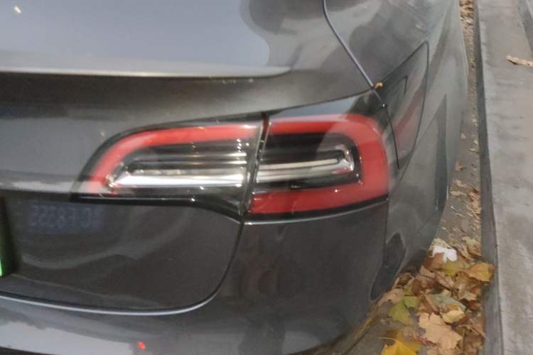 Used Tesla Model 3 2021 Standard Range Rear-Wheel Drive Upgraded Version 3D6