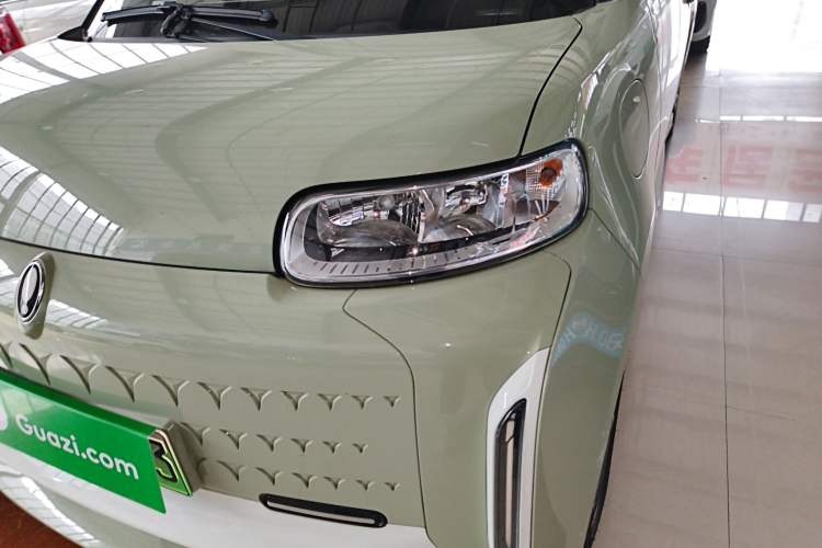 Used ORA White Cat 2022 Xiaoyue Mao Edition 360 km Luxury Model Lithium NMC
