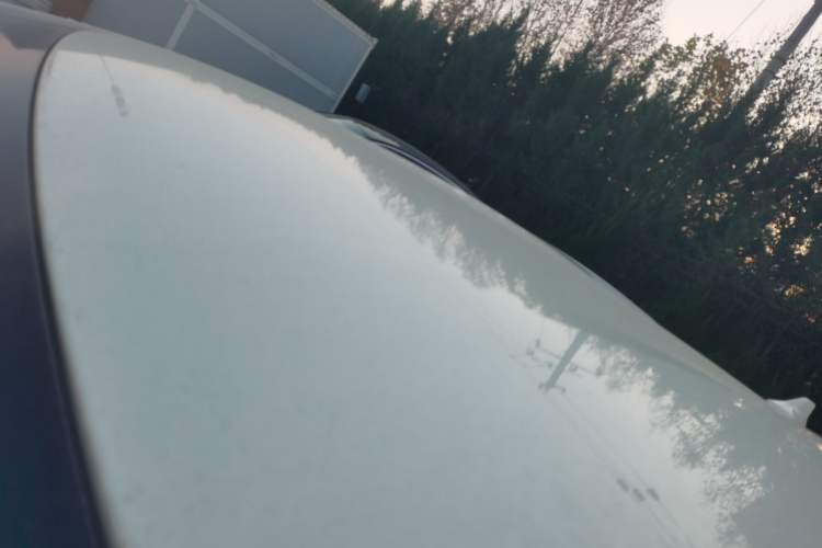 Used BYD Dolphin 2023 420 km Free Version
