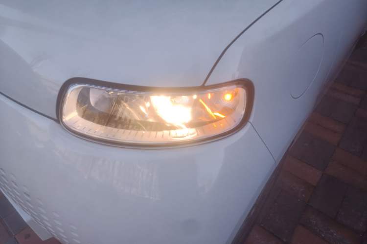 Used ORA White Cat 2020 305 km Luxury Version
