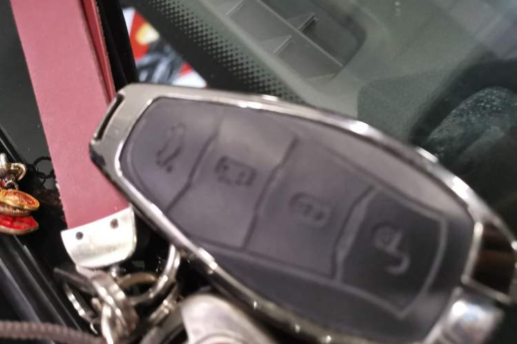 Used Hongqi HS5 2023 2.0T Four-Wheel Drive Flagship Pro Edition
