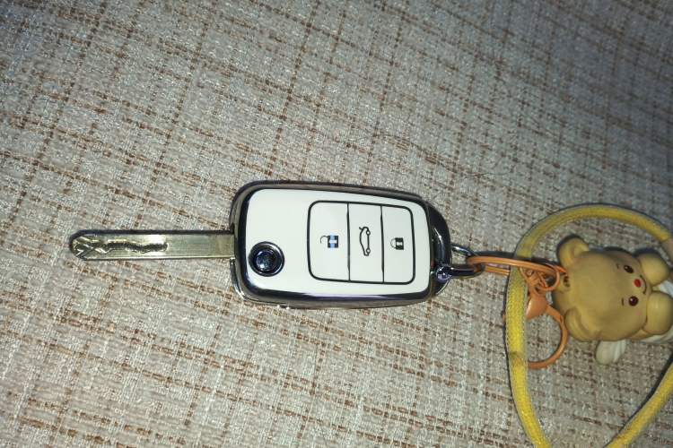 Used  Lumin 2025 301km Honey Dew Edition