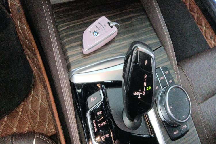 Used BMW 5 Series New Energy 2019 530Le Luxury Package