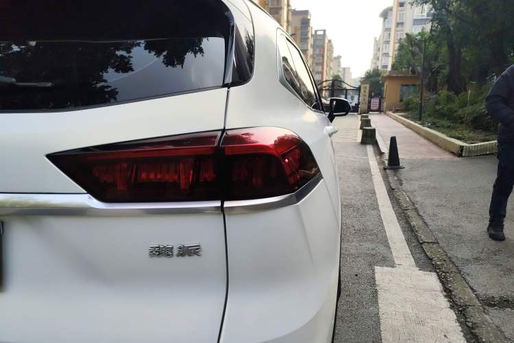 Used Wey Latte DHT 2022 1.5T DHT Extra-Large Cup
