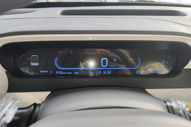 Used  Panda 2025 210 km – Yuanqi Bear
