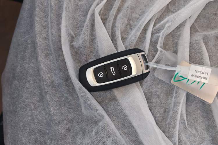 Used  Panda 2024 Panda Mini 200km Endurance Bear