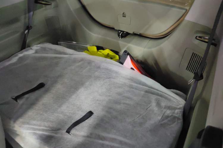 Used  Panda 2025 210km Panda Kart