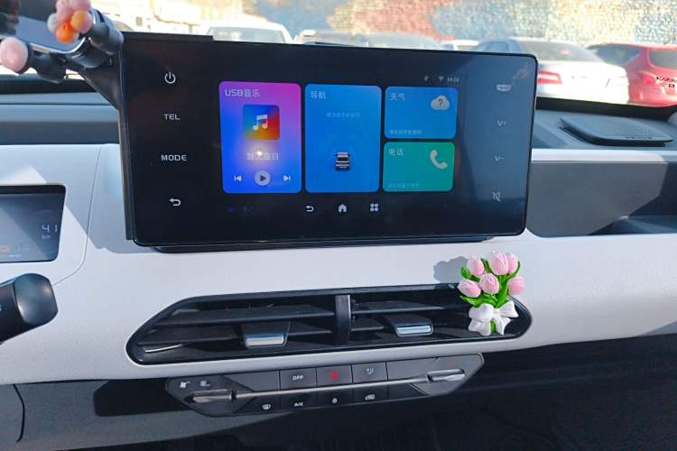 Used  Panda 2024 Panda Mini 200km Dragon Edition
