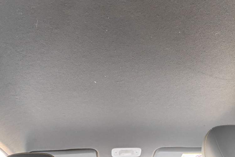 Used AION Y 2022 70 Enjoyment Edition Lithium Iron Phosphate
