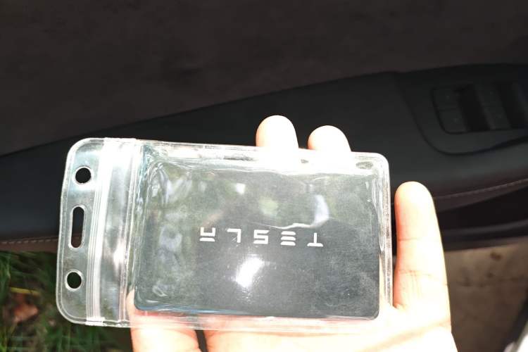 Used Tesla Model Y 2021 Long-Range All-Wheel-Drive Version
