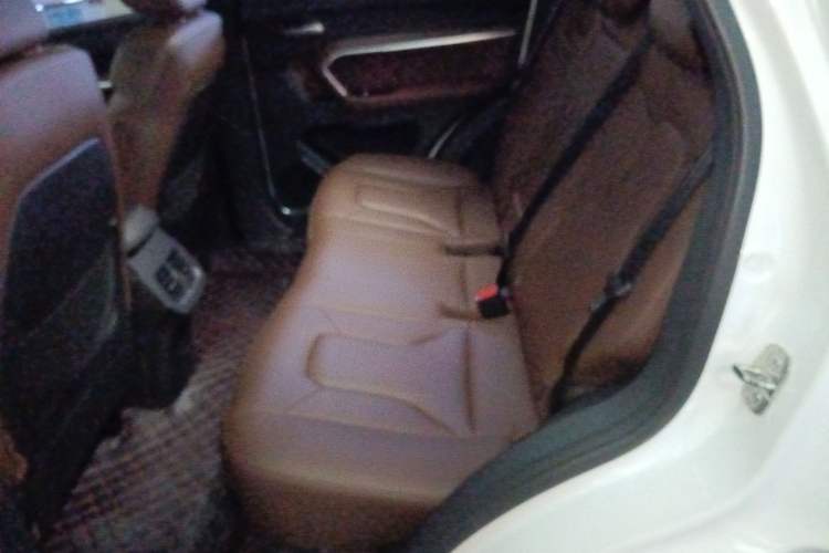 Used Haval H6 2017 Red Label 2.0T Automatic Two-Wheel Drive ZhiShang Model