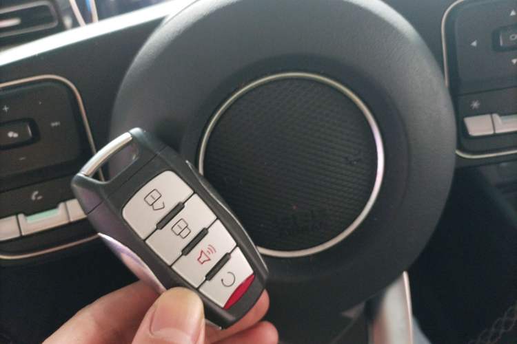 Used Great Wall Poer 2023 2.0T Passenger Version Automatic Gasoline Four-Wheel Drive Comfort Trim – GW4C20B
