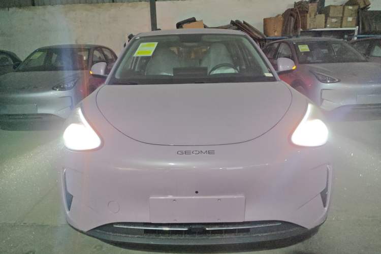 Used  Geome 2026 Model 310km Dream Edition