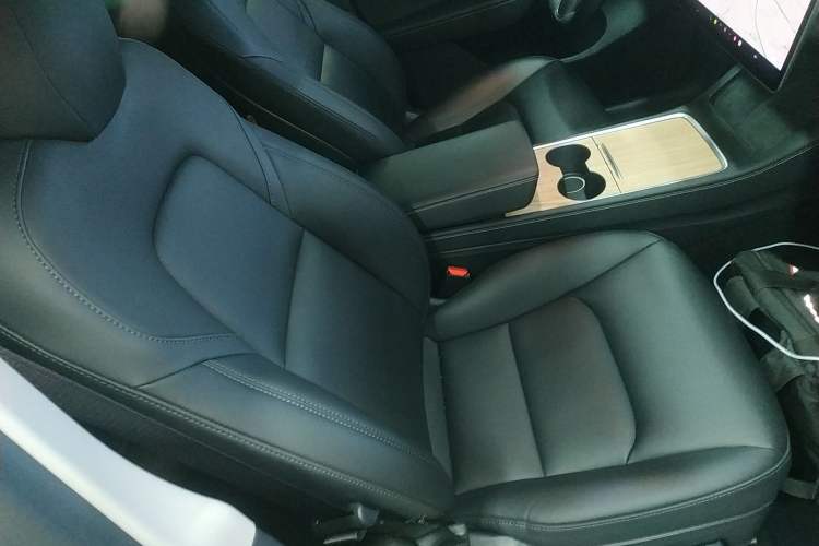 Used Tesla Model Y 2021 Standard Range Rear-Wheel Drive Version
