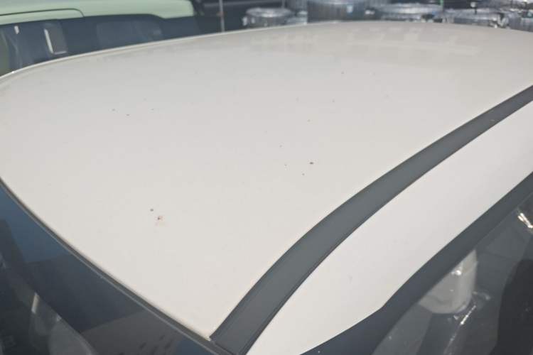 Used  Lumin 2025 205 km Xiangqin Version
