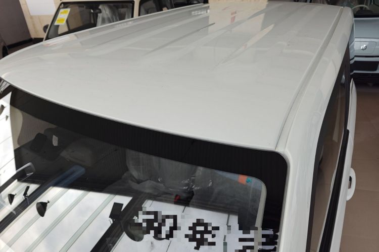 Used  Panda 2024 Panda Mini 200km Endurance Bear