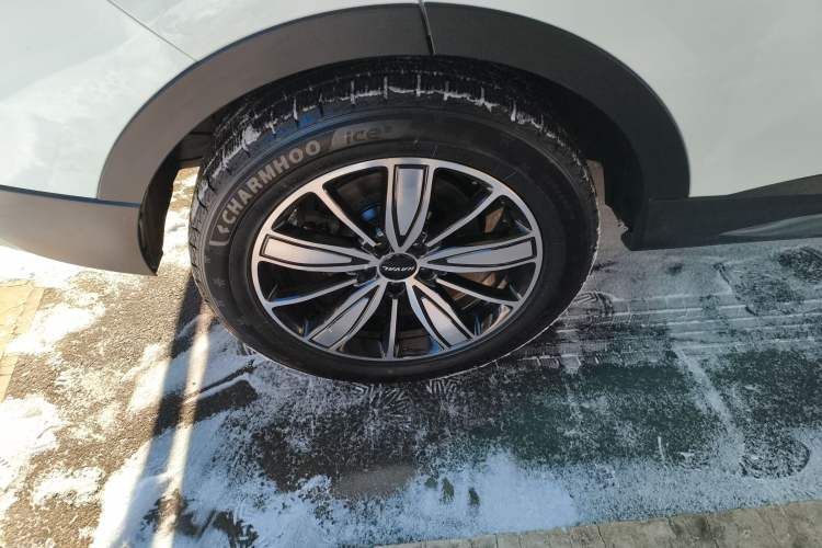 Used Haval H6 2023 National Trend Edition 1.5T Automatic Champion Version
