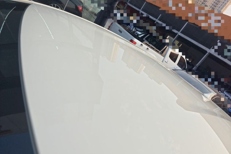 Used BYD Dolphin 2024 Honor Edition 420km Freedom Version
