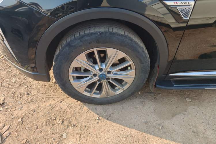 Used Venucia Star 2020 260T Automatic 48V Mild Hybrid Turbocharged Star Edition
