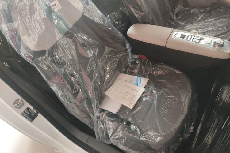 Used  Lumin 2025 205 km Xiangqin Version
