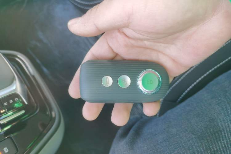 Used  Pioneer V 2024 Multi-Function Version 2.0T Automatic Short Wheelbase Low Roof
