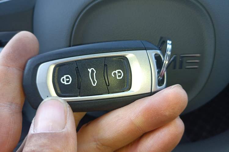 Used  Panda 2024 Panda Mini 200km Endurance Bear