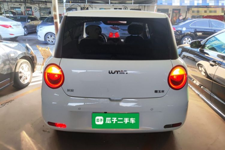 Used  Lumin 2025 205 km Xiangqin Version
