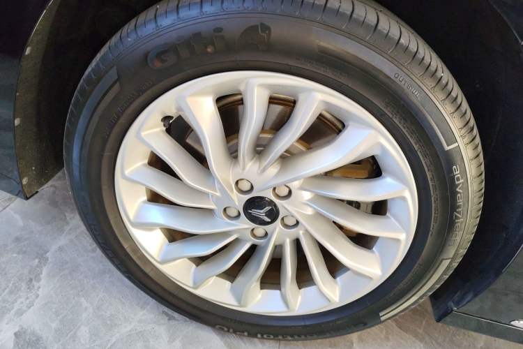 Used VOYAH Dream 2024 PHEV Extended-Range Premium Edition