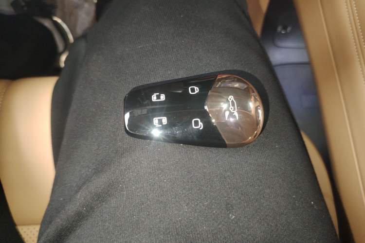 Used VOYAH Dream 2022 Low-Carbon Edition Home