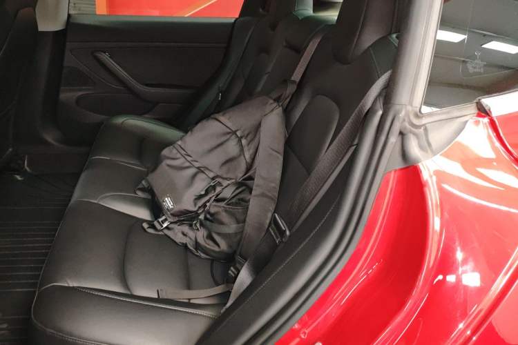 Used Tesla Model 3 2020 Revised Version Standard Range Rear-Wheel Drive – Upgraded Edition