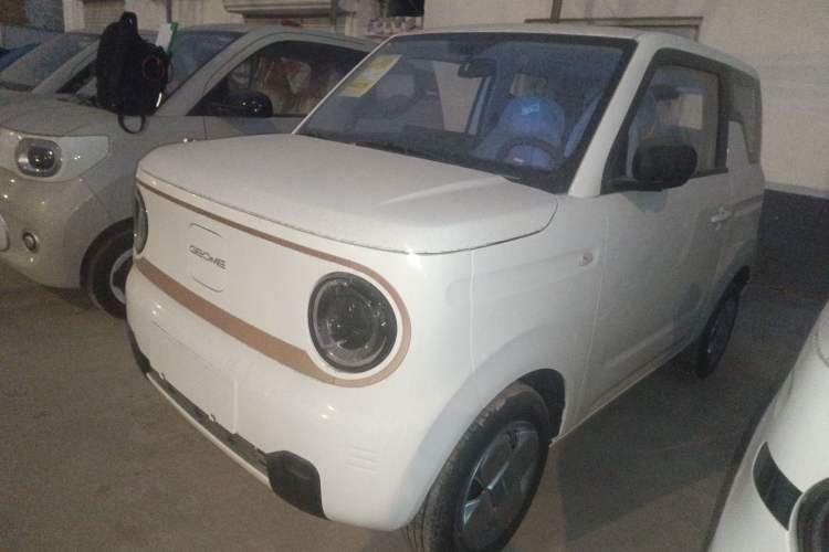 Used  Panda 2025 210 km – Yuanqi Bear
