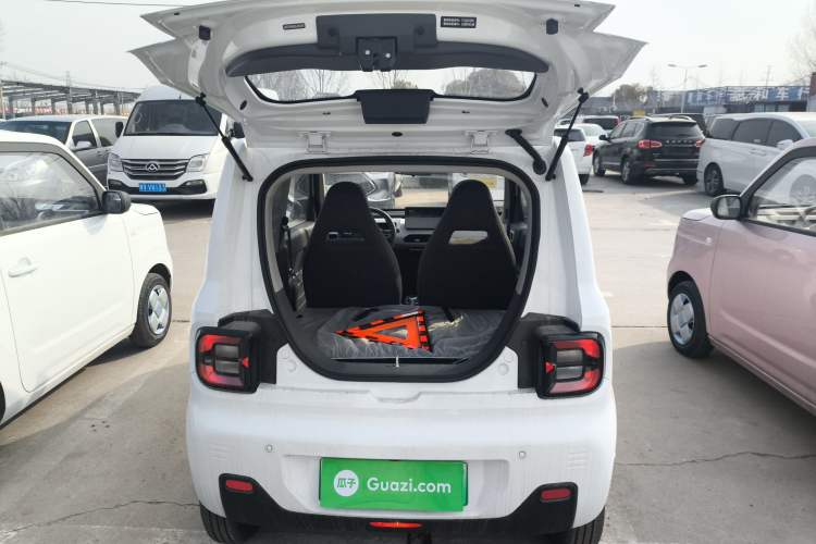 Used  Panda 2024 Panda Mini 200km Endurance Bear
