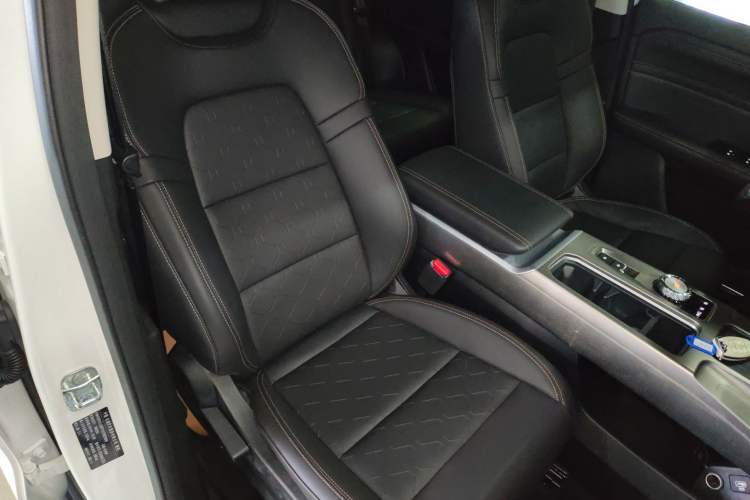 Used Haval DARGO 2024 2.0T DCT Chinese Rural Dog Edition
