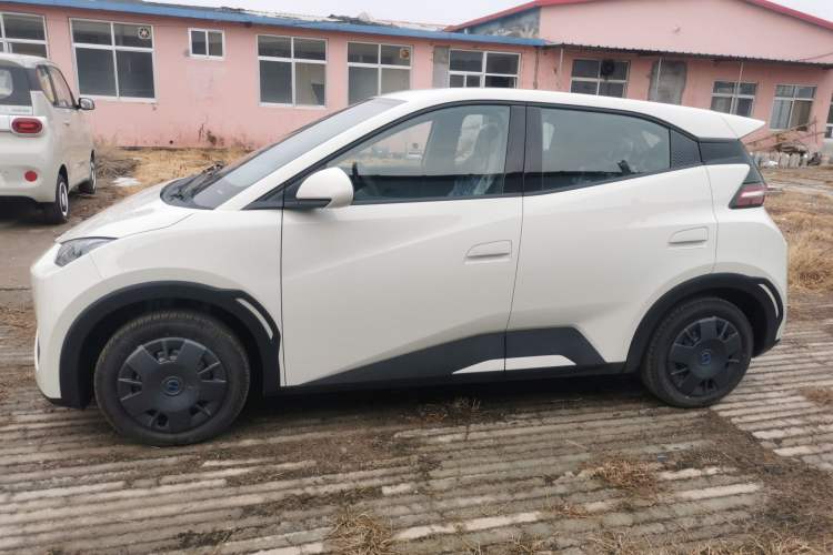 Used BYD Seagull 2025 Intelligent Driving Version 305 km Dynamic Edition
