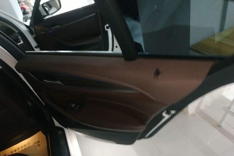 Used BMW 5 Series New Energy 2020 530Le Luxury Package
