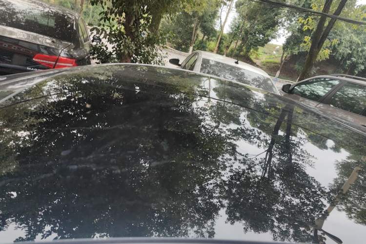 Used BYD Seal 2025 510 Smart Navigation Version