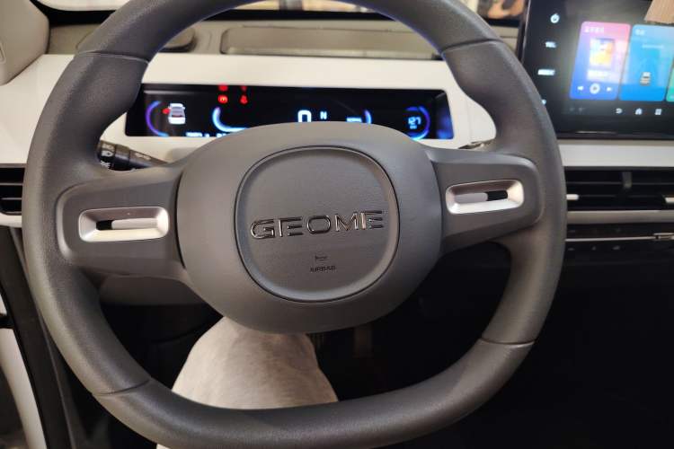 Used  Panda 2024 Panda Mini 200km Endurance Bear