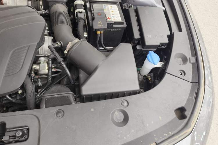 Used Hongqi H5 2023 2.0T Automatic Smart Connect Flagship Edition
