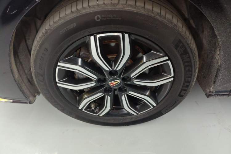 Used Hongqi HQ9 2023 2.0T Smart Connect Flagship Edition