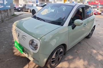 Used ORA Black Cat 2022 405 km Long-Range Version Ternary Lithium