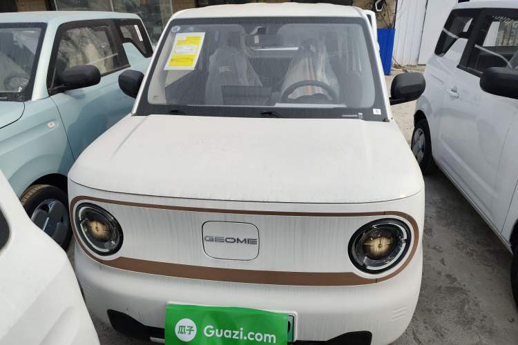Used  Panda 2024 Panda Mini 200km Endurance Bear
