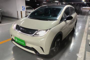 Used BYD Dolphin 2021 405 km Fashion Edition