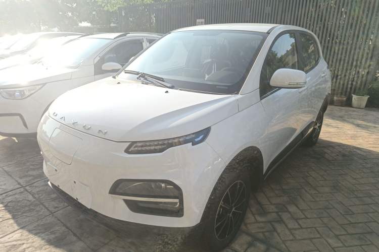 Used Dayun Yuehu 2023 300 Standard Edition
